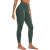 Dark Forest Green