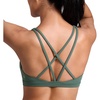 Dark Forest Green
